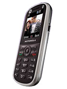 Best available price of Motorola WX288 in Paraguay
